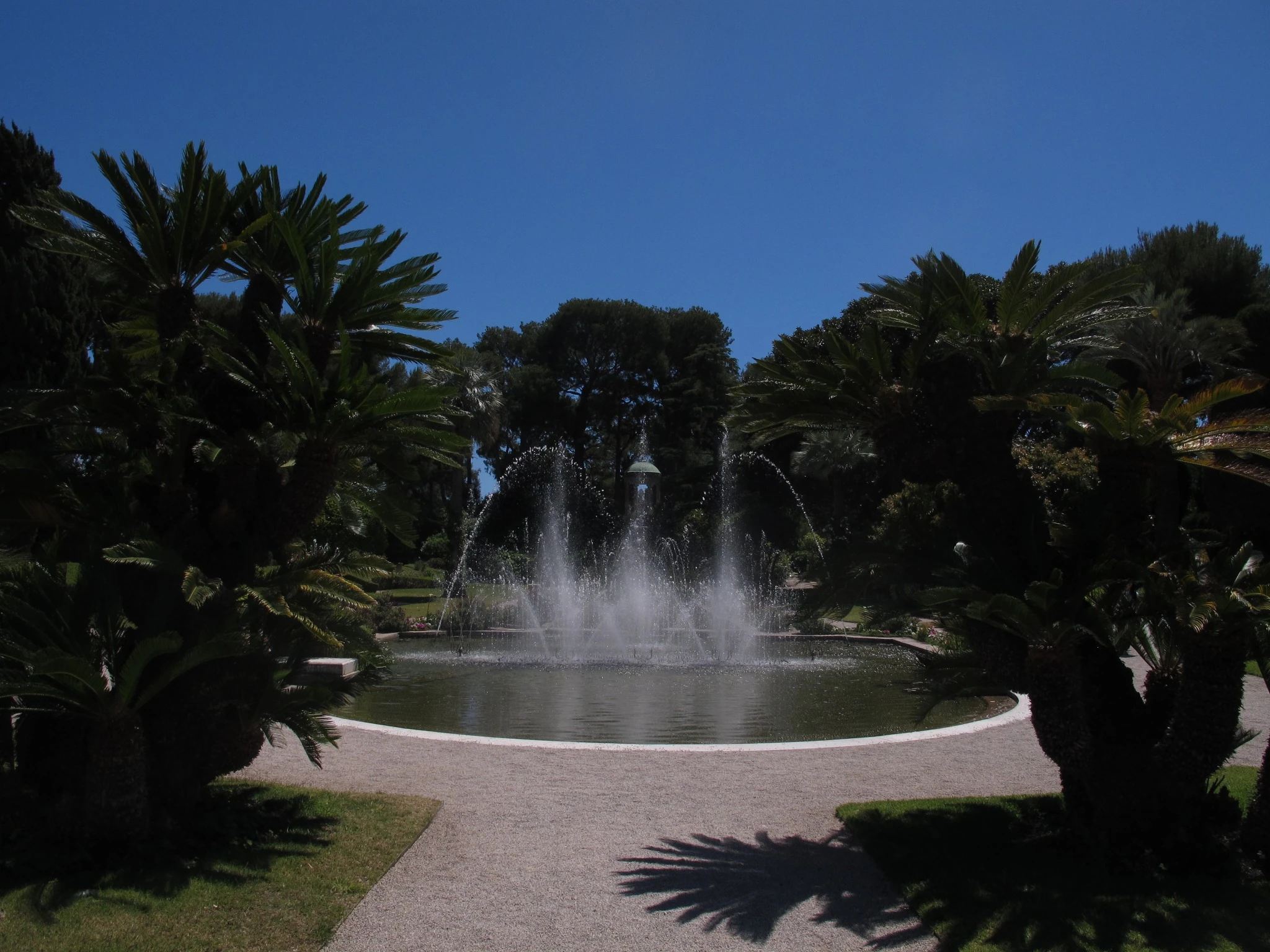 Fountain framed by palms on the Côte d’Azur